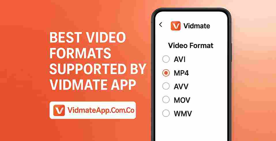 Vidmate অ্যাপ দ্বারা সমর্থিত সেরা ভিডিও ফর্ম্যাট
