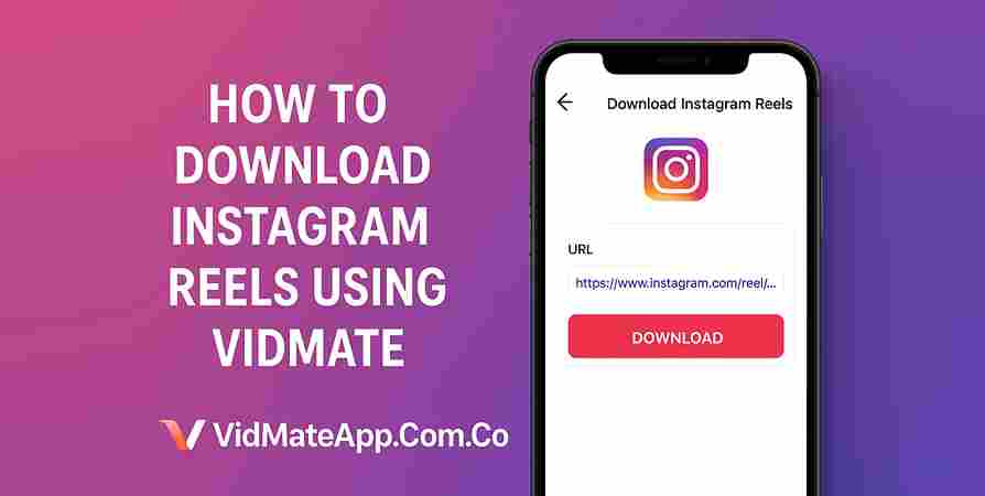 Jinsi ya Kupakua Mizunguko ya Instagram kwa Kutumia Vidmate