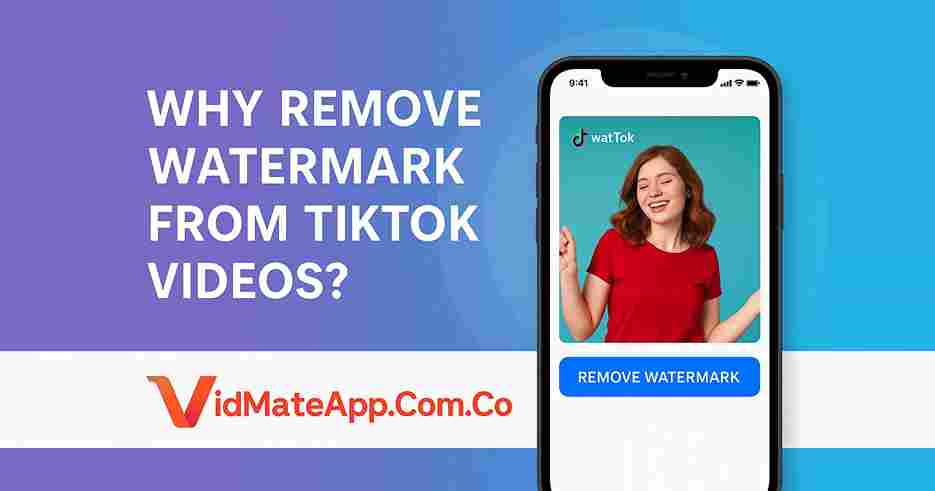 TikTok ভিডিও থেকে ওয়াটারমার্ক কেন সরাবেন?